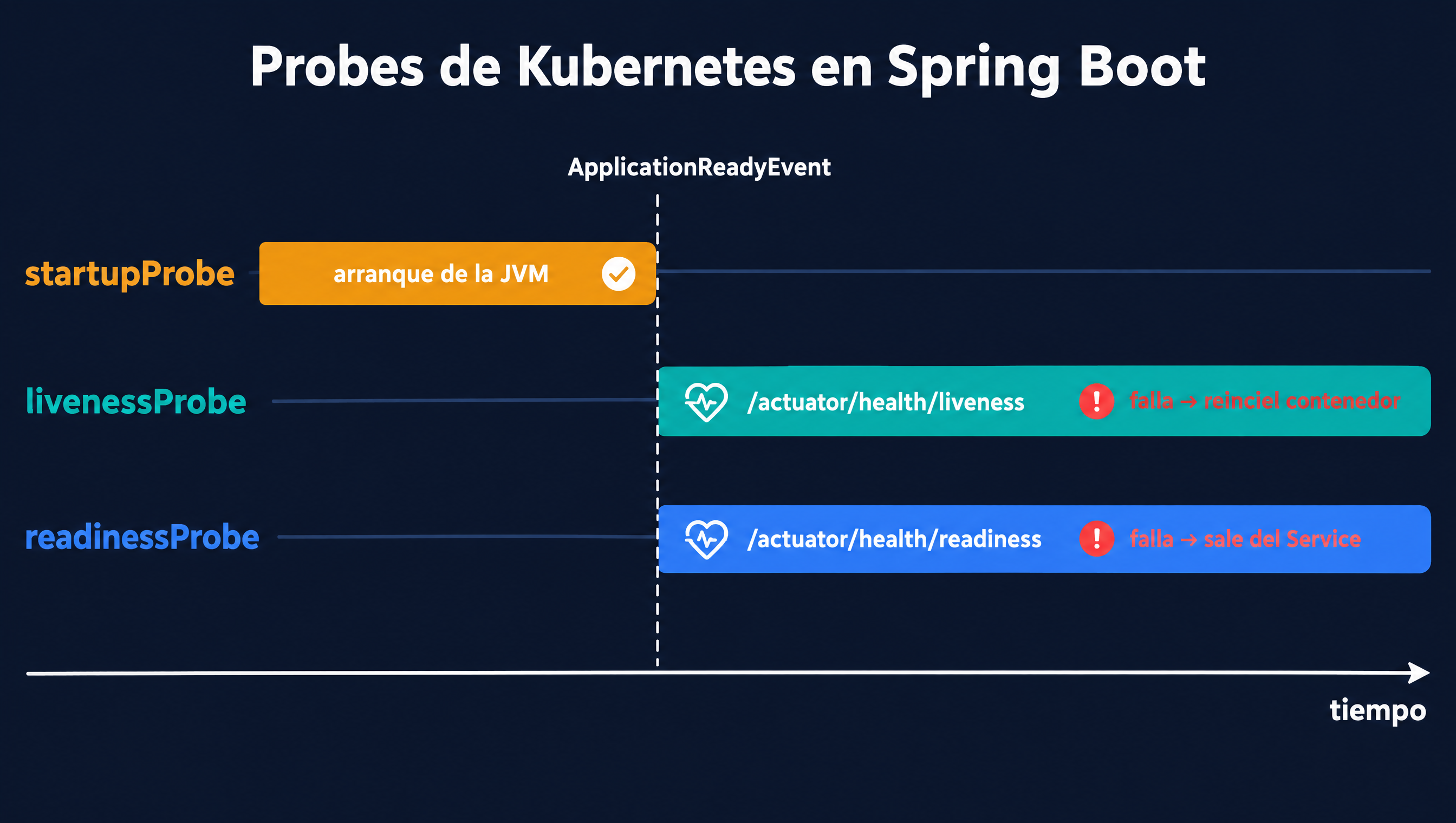 Línea de tiempo de las probes de Kubernetes en Spring Boot: la startupProbe cubre el arranque de la JVM y, tras el ApplicationReadyEvent, la livenessProbe consulta /actuator/health/liveness y reinicia el contenedor si falla, mientras la readinessProbe consulta /actuator/health/readiness y saca el pod del Service si falla